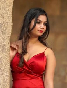 call girl service in Vasana Bhayli